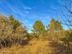 Понедельник в Волгодонске будет облачным