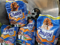 Несколько десятков животных нашли своих хозяев с помощью фото