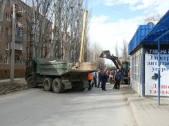 В Волгодонске движение на улице Горького перекрыли из-за обрезки деревьев