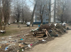 «Виноваты жители частных домов»: ДСиГХ о стихийной свалке на переулке Октябрьский 