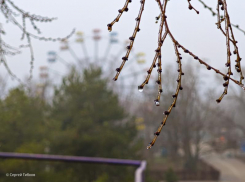 В «одинокий» день будет лить грустный дождик