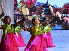 Национальные танцы и песни разных народов показали в Волгодонске участники фестиваля «Родники России»