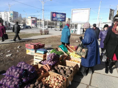 Опасные грибы и овощи изъяли у стихийных торговцев в Волгодонске