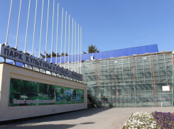 В волгодонском парке Победы планируют сделать семейный центр и памп-трек,  снести кафе «Солнышко» и срезать все кусты