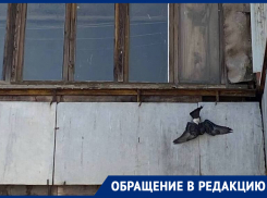 «Может это и смешно, но это живое существо!»: волгодонцы просят помочь спасти голубя, застрявшего на балконе