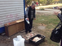 Залить хлоркой опасную рыбу заставили водителя микроавтобуса на трассе Морозовск - Цимлянск
