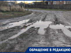 «Это наш крик души»: жители Цимлянского района умоляют сделать дорогу 