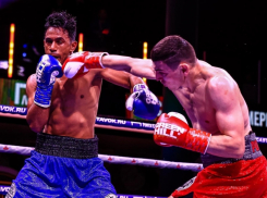 Сборная России по боксу обыграла Америку: вклад в победу внес экс-волгодонец Харитон Агрба