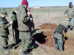 В Орловском районе обнаружили  останки солдат Красной Армии