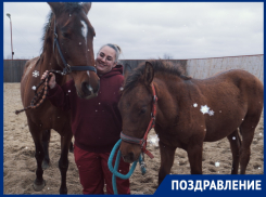 Символы Нового года Фина и Сокол поздравляют волгодонцев с наступающим праздником!