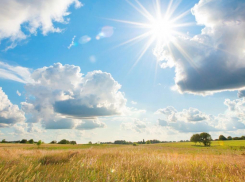 Жаркий вторник подарит волгодонцам ощущение лета 