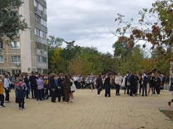 Озеленяли территории и убирали помещения: как зарабатывали подростки в Волгодонске 