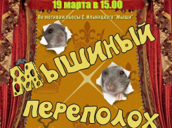 На «Мышиный переполох» приглашает юных волгодонцев Детская театральная школа
