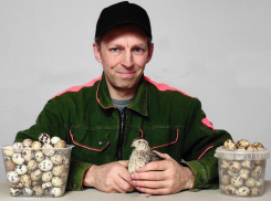 Бизнес на перепелках от одинокого кандидата наук из Подмосковья