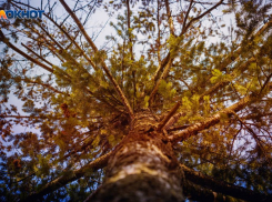Холода в Волгодонске продолжаются