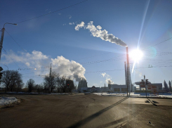 До +7 прогреется воздух в последнюю среду зимы 