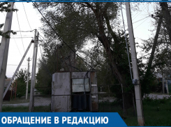 Жители Красного Яра называют «бомбой замедленного действия"опасное дерево 