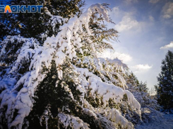 До -16 по ощущениям ожидается сегодня в Волгодонске  