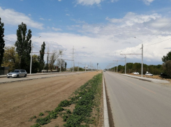 Пять тысяч деревьев пообещали посадить дорожники в новом городе