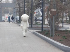 Унылый серый день в преддверии сказочной зимы ожидает волгодонцев сегодня 