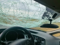 Колесо от грузовика прилетело в лобовое стекло легкового автомобиля на трассе Элиста-Зимовники