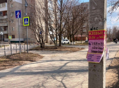В Волгодонске горожан чаще всего штрафуют за незаконную расклейку объявлений 