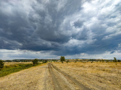 Еще не мороз, но прохладно: о погоде на 9 октября 