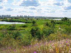 Сегодня в Волгодонске день обещает быть солнечным