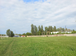 Траву в Волгодонске покосили на 28 улицах