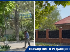 «Это уже крик души»: два гигантских тополя на улице Горького отравляют жизнь волгодонцам