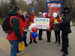 «Дорога не должна убивать!»: в Волгодонске студенты с плакатами привлекали внимание пешеходов и водителей