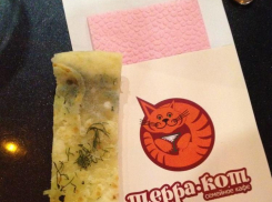 В одном из кафе города волгодонцу предложили лавашик с плесенью