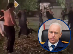Обстоятельства массовой драки в Волгодонске проверят в Следственном комитете России