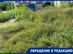 Травой с человеческий рост обросла детская площадка в центре Волгодонска