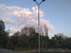 Стала известна причина частичного запрета на катание на роликах и велосипедах в «Дружбе»