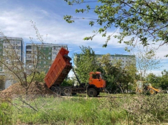 Незаконную выгрузку отходов в центре жилого района обнаружили в Волгодонске
