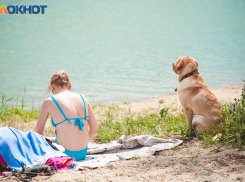 Страшная жара сохранится в Волгодонске