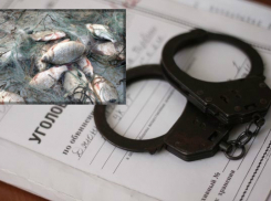 В Волгодонске на котлованах поймали рыбака с самодельной сетью