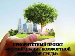 Волгодонцы смогут в режиме онлайн выбрать, какие парки и улицы будут обустраивать в 2018 году