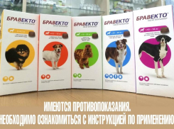 Волгодонцам раскрыли секрет нового способа борьбы с клещами и блохами у питомцев