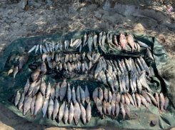 До двух лет тюрьмы грозит 30-летнему рыбаку за незаконный вылов биоресурсов на берегу Цимлянского водохранилища