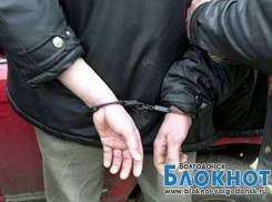 Житель Зимовниковского района получил 8 лет за нападение на старушку