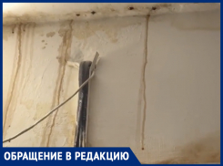 «Течет с крыши жидкое голубиное дерьмо, обои позеленели»: люди в шоке от работы УК «Милана» в доме на Морской