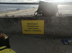 Люди опасаются, что пляж в Цимлянске сделают запретной зоной и введут запрет на купание