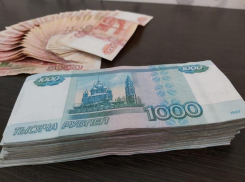 Крупный бизнес Волгодонска сохранил хорошую норму прибыли