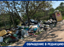 В СНТ «Рассвет» разрослась огромная несанкционированная свалка