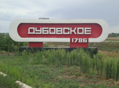 34 взрослых и 11 детей из Украины нашли убежище в Дубовском районе