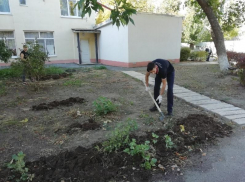 Волгодонские студенты помогли благоустроить территорию Волгодонского пансионата для престарелых и инвалидов 