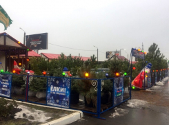 29 хвойных базаров и мест продажи елочных игрушек на землях города  планируется разместить в Волгодонске 