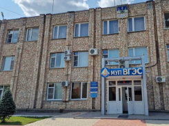 Во главе с несуществующим директором ВГЭС пытается оспорить претензии налоговиков и получить деньги от «Россетей»